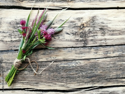 bunch of lavender. Placard for text with colors. You can place your ad  greeting  or invitation.