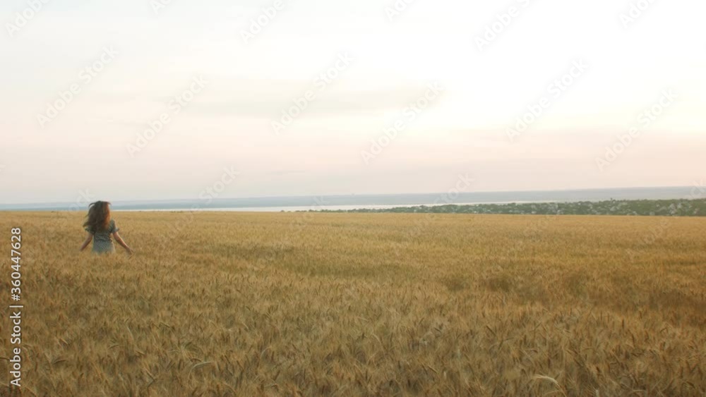 beautiful girl in dress walking on field of spikelets in ripe golden wheat, young pretty woman enjoying rural landscape, happiness and freedom emotion beautiful girl in dress walking on field of spikelets in ripe golden wheat, young pretty woman enjoying rural landscape, happiness and freedom emotion