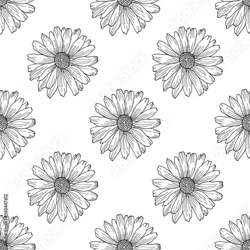 Hand drawn seamless pattern with wildflowers. Black and white doodle chamomile flowers. Monochrome floral elements. Vector illustration.