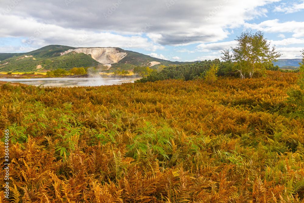 Fototapeta premium General view of the geyser valley in the afternoon