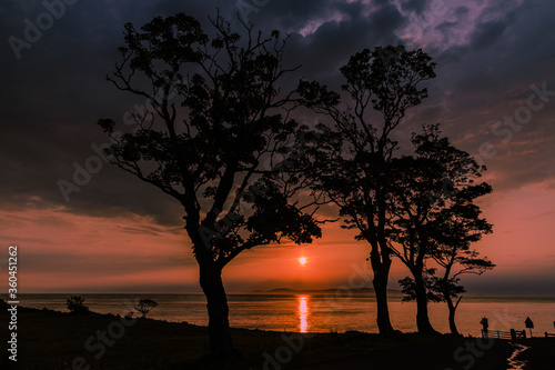 Golden Hour Sunrise in Murlough Bay, County Antrim, Causeway Coast and Glens Area of Outstanding Natural Beauty. Northern Ireland photo