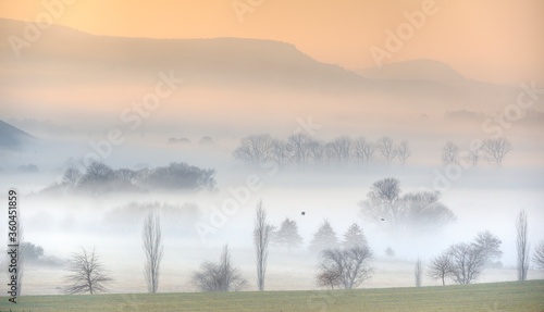 WINTER FOG collects along the banks of the Umzimkulu river, Underberg, Kwazulu Natal, South africa 