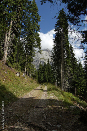 Footpath through the woods in Val Visdende (Visdende valley) with the Monte Peralba (mountain peak of the Dolomites, 2694 m.). Veneto and Friuli-Venezia Giulia, Italy, Europe.