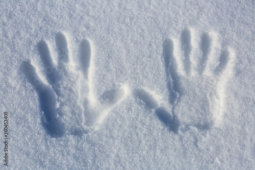 Hands prints on the cold white snow with a winter sunny day. Widescreen frame backdrop.