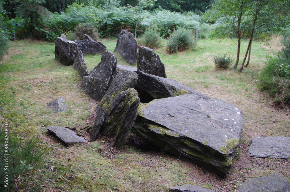 Obraz premium Menhirs de Monteneuf