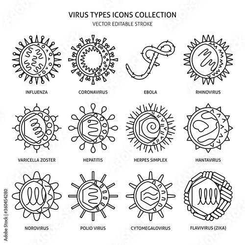Human viruses icon set in thin line style