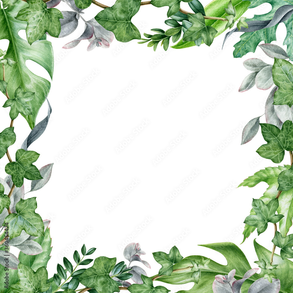 Fototapeta premium Square frame green leaf watercolor illustration. Eucalyptus, monstera and buxus evergreen lush plants hand drawn trendy card design. Botanical herbs elegant arrangement isolated on white background