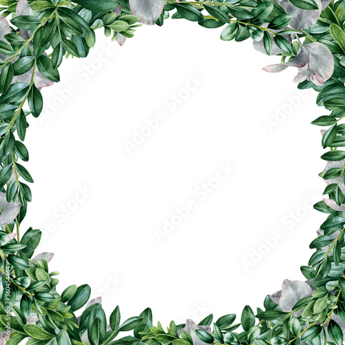 Green leaf square frame watercolor illustration. Eucalyptus and buxus evergreen lush plants hand drawn trendy card design. Botanical herbs elegant arrangement isolated on white background