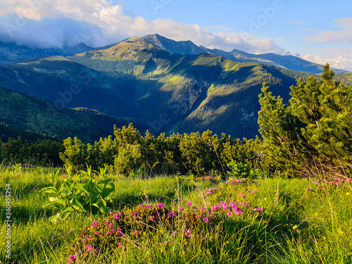 Beautiful view to Retezat Mountains from Piule Iorgovanu Mountains, Romania