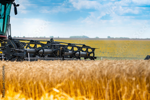 Slika na platnu Combine mower for harvesting wheat
