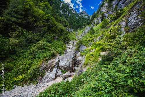 mountain area with an incredible view