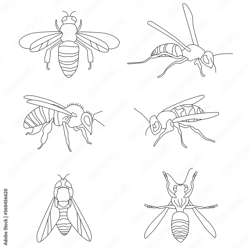 Vecteur Stock Honey bee bumble bees wasps set doodle style collection ...
