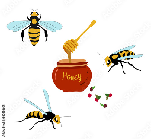 Honey jar and bee bumble bees wasps doodle poster.Cute wooden honey dipper hand drawn vector illustration. Tasty dessert poster for cafe menu. Cranberries and dripping golden syrop.Food pack,apiary