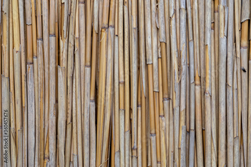 bamboo rooftop closeup background texture.