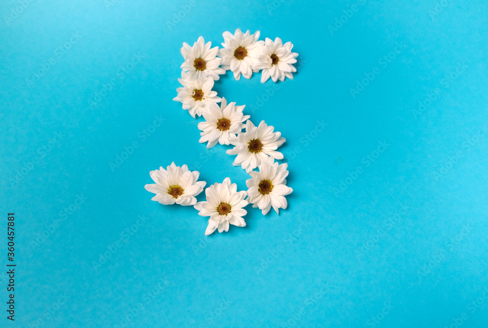 The letter S is laid out with daisies on a blue background