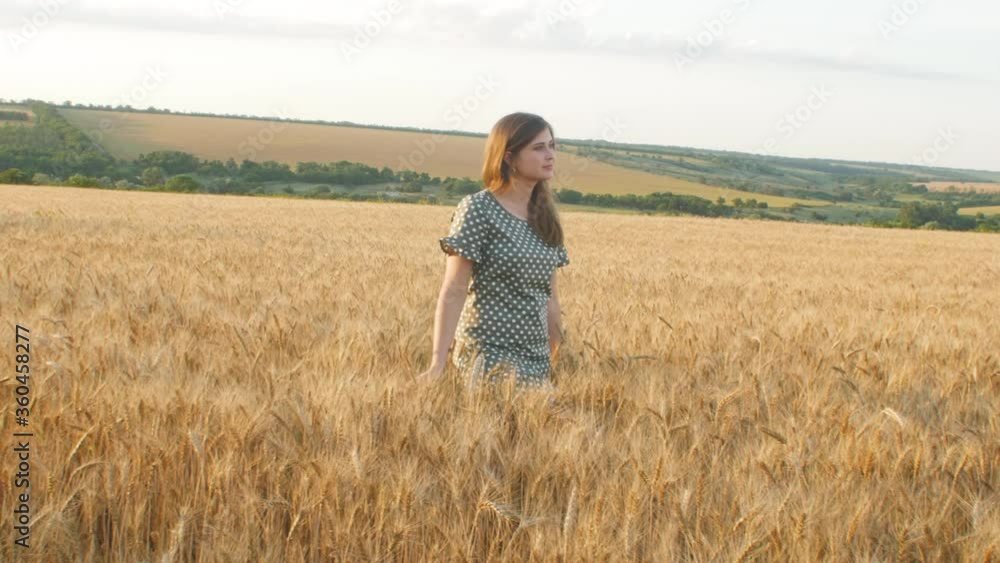 beautiful girl in dress walking on field of spikelets in ripe golden wheat, young pretty woman enjoying rural landscape, happiness and freedom emotion beautiful girl in dress walking on field of spikelets in ripe golden wheat, young pretty woman enjoying rural landscape, happiness and freedom emotion