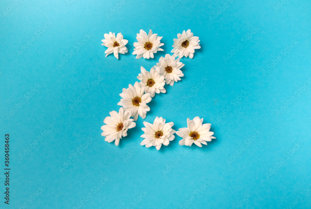The letter Z is laid out with daisies on a blue background