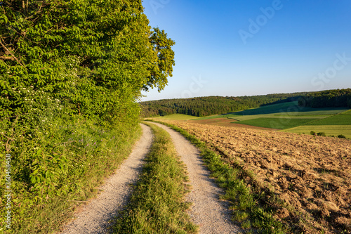 Fototapeta Naklejka Na Ścianę i Meble -  Scenic view of road in the countryside against blue sky in Werbach, Germany. Road amidst trees and agricultural field against sky for copy space on a sunny day.