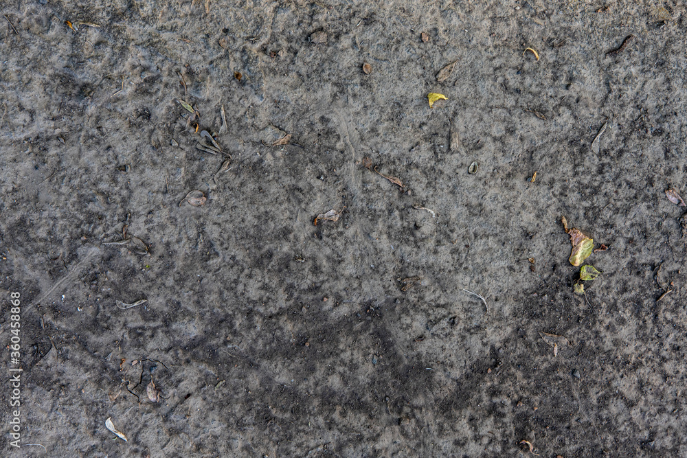 texture and background of cracked earth, soaked by the rain texture and background of cracked earth, soaked by the rain