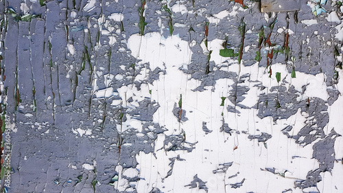 Texture of old wood with a peeled coat of paint. Peeling paint on an old wooden siding on this historic house.