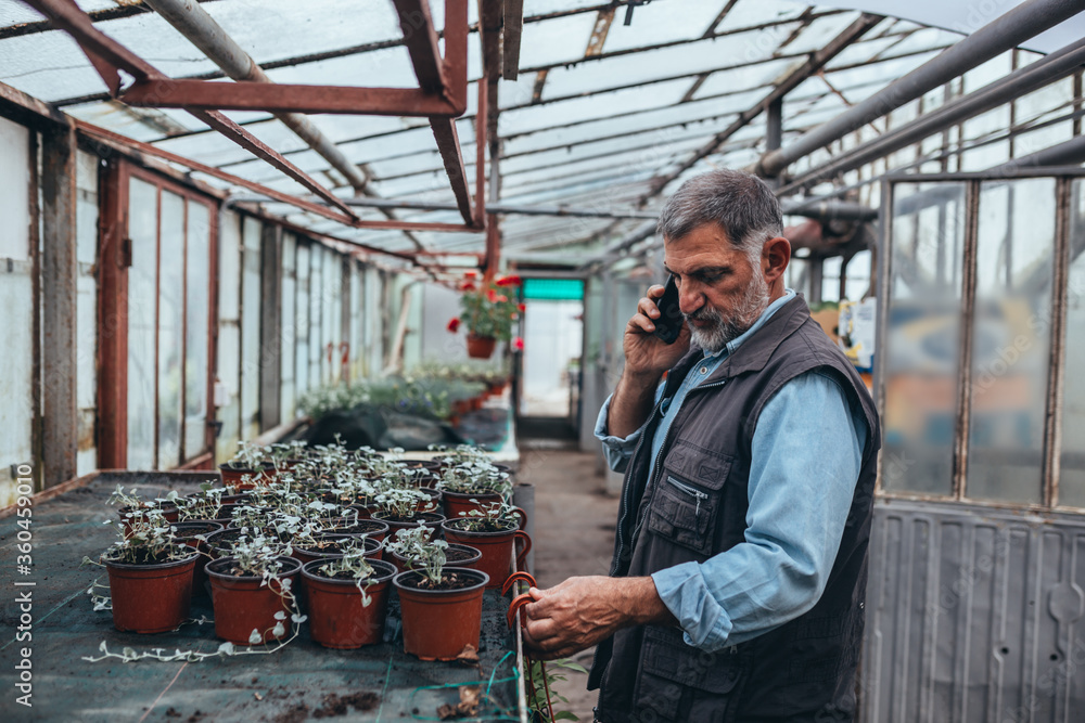 middle aged man working in greenhouse flower nursery