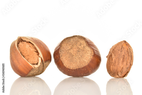 Hazelnuts, macro, on a white background.