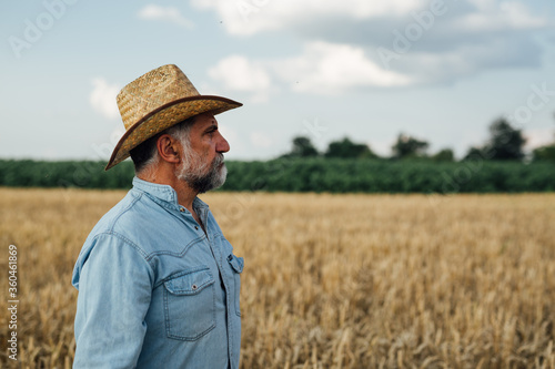 middle aged man posing in wheat field © cherryandbees
