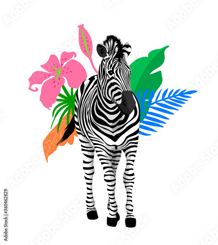 zebra with tropical leaves. Tropical jungle foliage illustration. Summer beach design. Paradise nature.