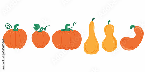 Pumpkin set. Orange and yellow pumpkins of various shapes and sizes. Autumn harvest. For halloween and thanksgiving day design. Flat vector doodle cartoon elements
