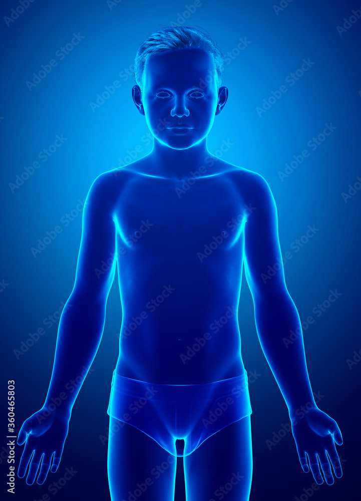 3d rendered illustration of the young boy body 3d rendered illustration of the young boy body