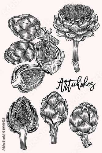 Vector set of engraving illustration green vegetables artichokes isolated on pink background