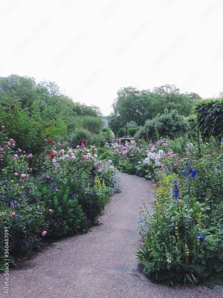 Trail in the blooming garden