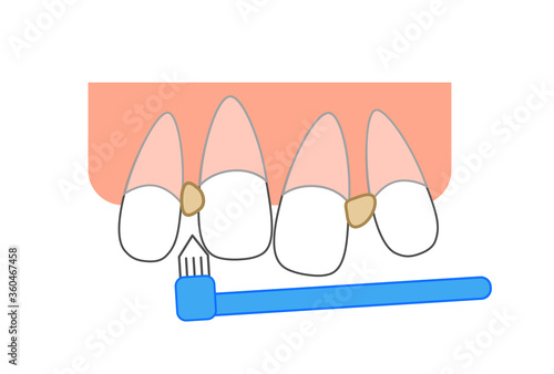 Tuft brush toothpaste leftover food
