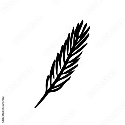 Pine branch in black and white  isolated simple hand drawn vector illustration in doodle style