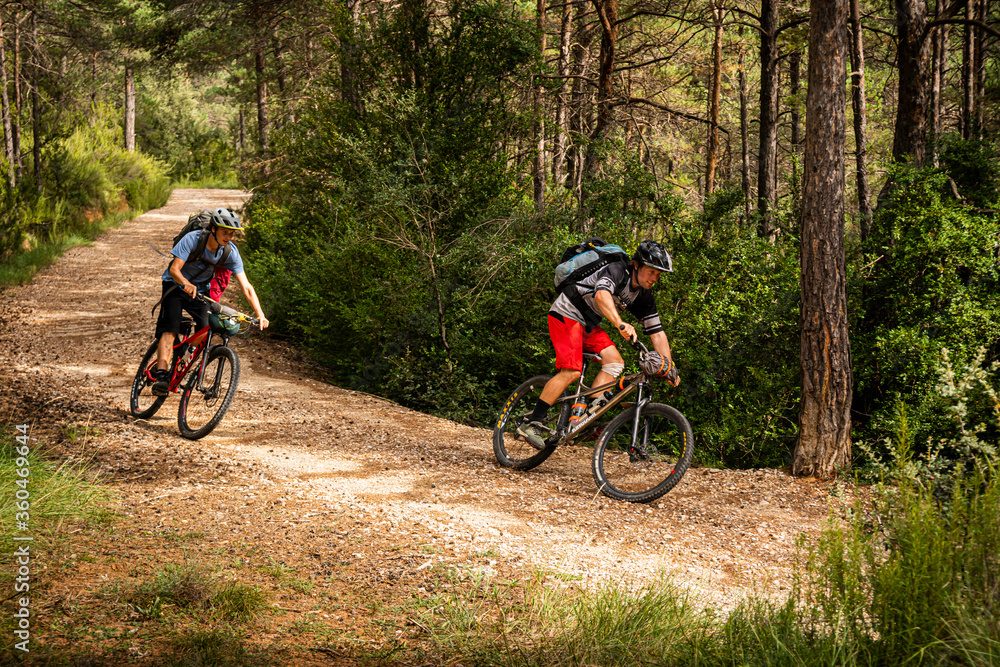 Naklejka premium Two mountain bikers on a forest road in the low Pyrenees. Huesca, Spain.