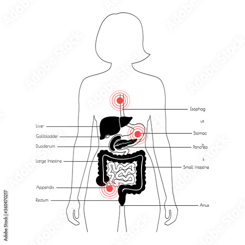 Pain in human body