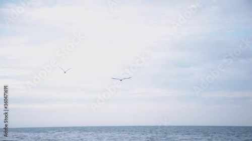 Birds Flying Freely Over The Vast Sea On A Cloudy Day - Medium Static Shot photo