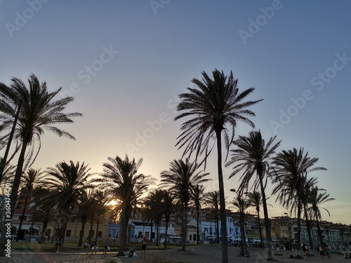 palm trees and beach houses  © VicenteDavid