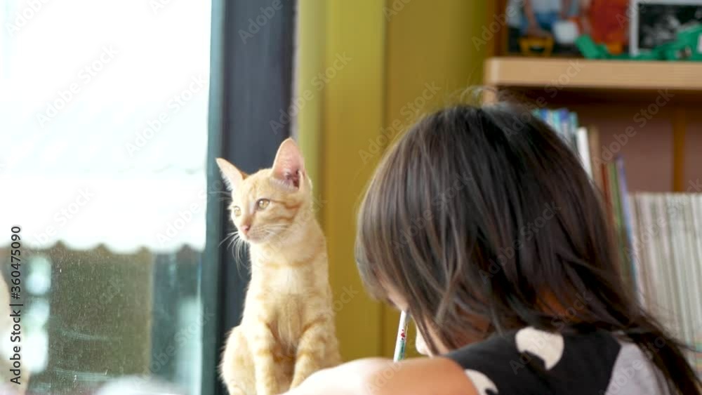 Educate at home. Asian little child girl doing homework by the window indoors on the weekend with the kitten sat beside her. Cute pet concept. Back to school. Educate at home. Asian little child girl doing homework by the window indoors on the weekend with the kitten sat beside her. Cute pet concept. Back to school.