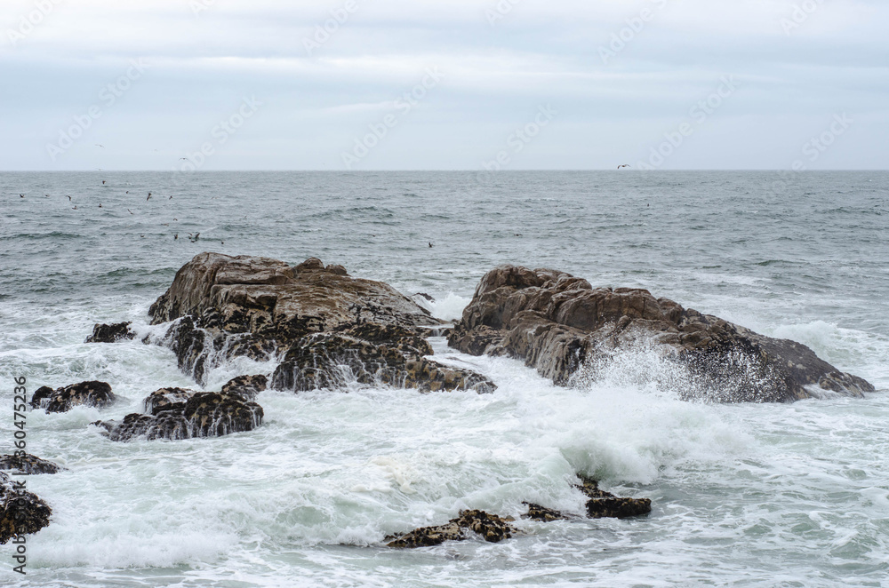 Wave with foam breaking of rock in ocean or sea