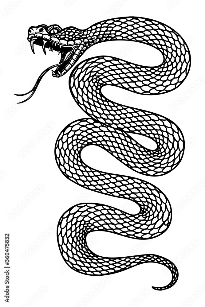 Fototapeta premium Illustration of poisonous snake in engraving style. Design element for logo, label, emblem, sign, badge.