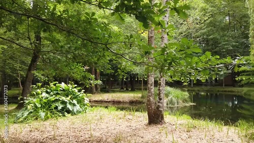 Parc du château Beaulon en Charente-Maritime photo