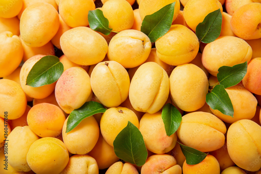 fresh ripe apricots as background fresh ripe apricots as background