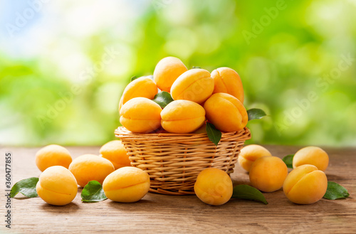 fresh ripe apricots in a basket