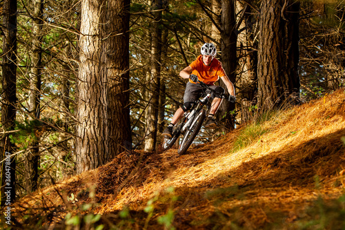 Mountain Biking in Pine Forest photo