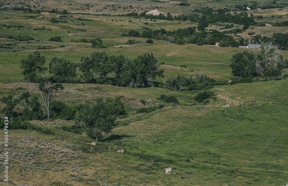 Fototapeta premium landscape with trees and hills