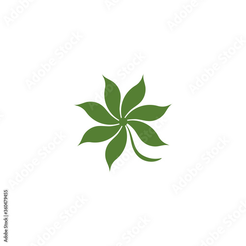 Fototapeta Naklejka Na Ścianę i Meble -  Leaf Logo Template vector symbol