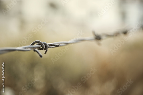 Sharp old metal barbed wire