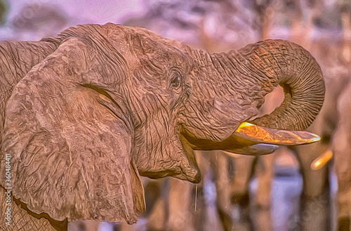 Elephant drinking  head shot  oil painting