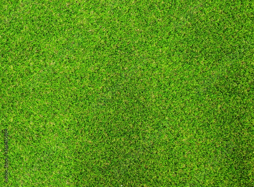 Top view Artificial Grass Ideal for use in the background
